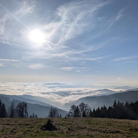 Glatzl Trahuetten Alm Sankt Lorenzen am Wechsel ภายนอก รูปภาพ