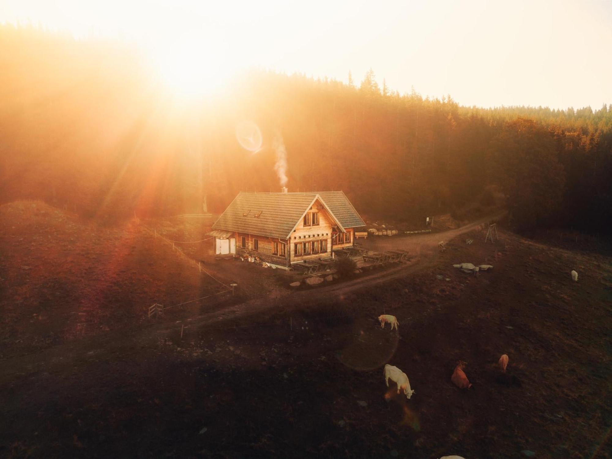 Glatzl Trahuetten Alm Sankt Lorenzen am Wechsel ภายนอก รูปภาพ